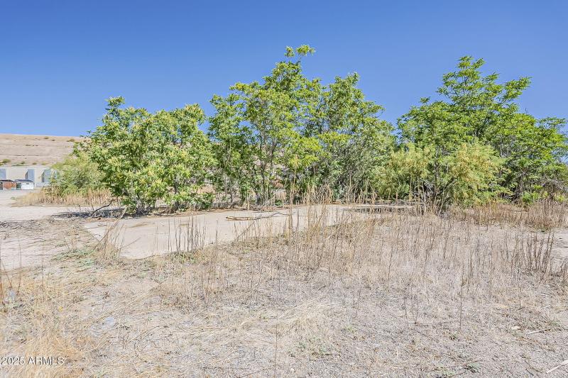 17-web-or-mls-Miami-7