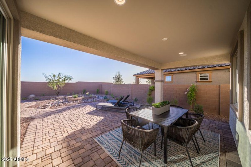 Backyard_2