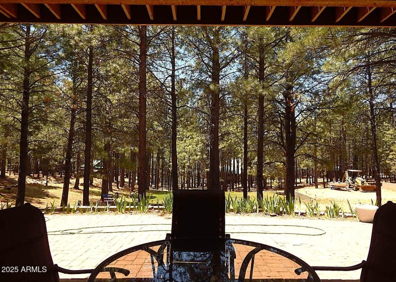 From Basement Patio