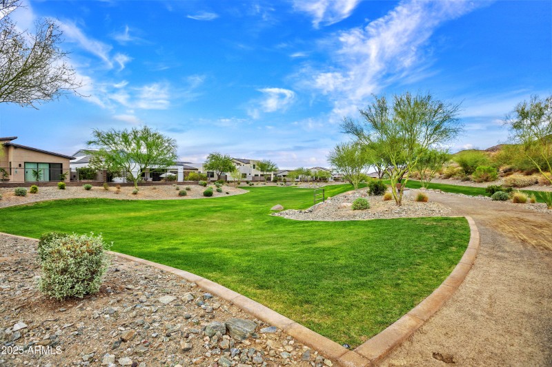 Community - Park