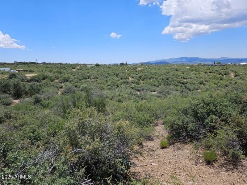 2 acres in Kirkland/Wilhoit