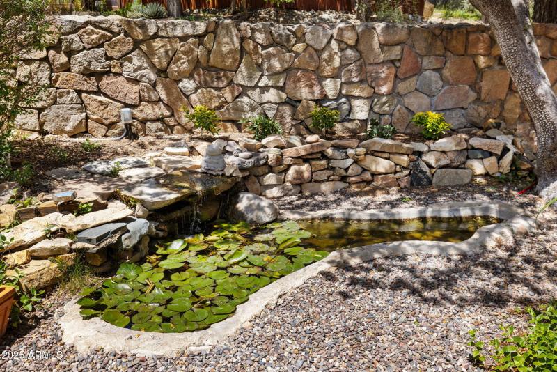Pond