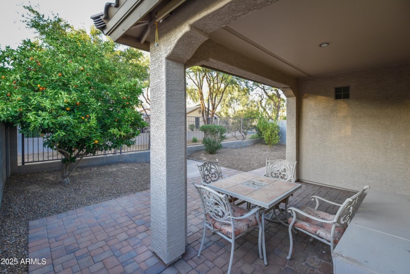 Back Patio