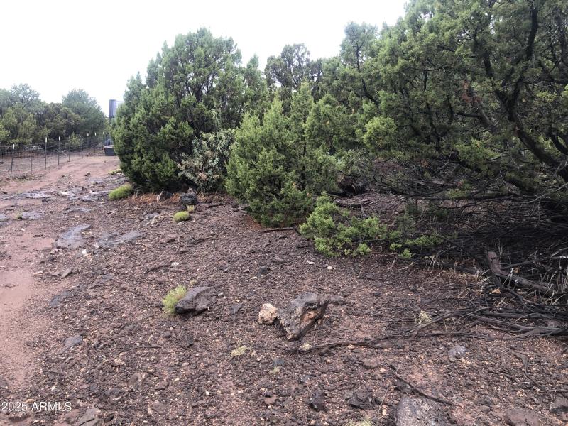 005A921B-4C15-45EA-B3C9-D8681EB4C9C3