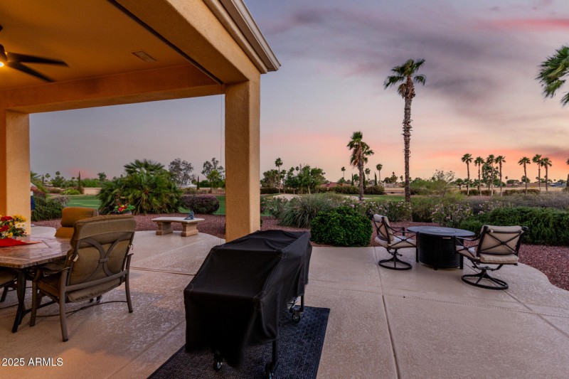 View of Palms in the Sunset