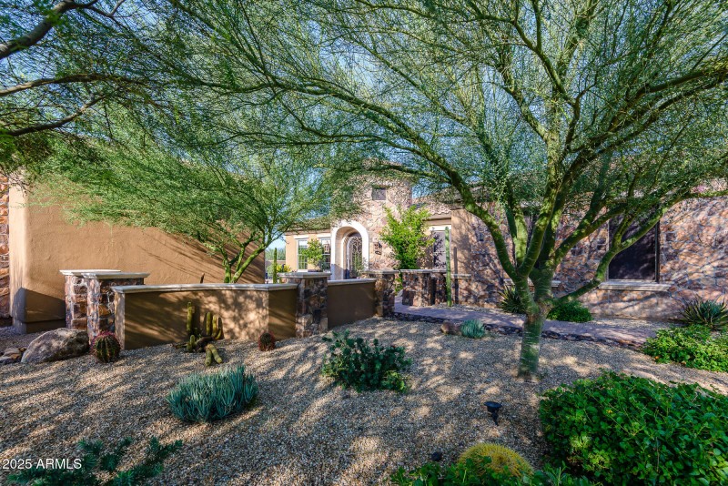 Lush Desert Landscaping