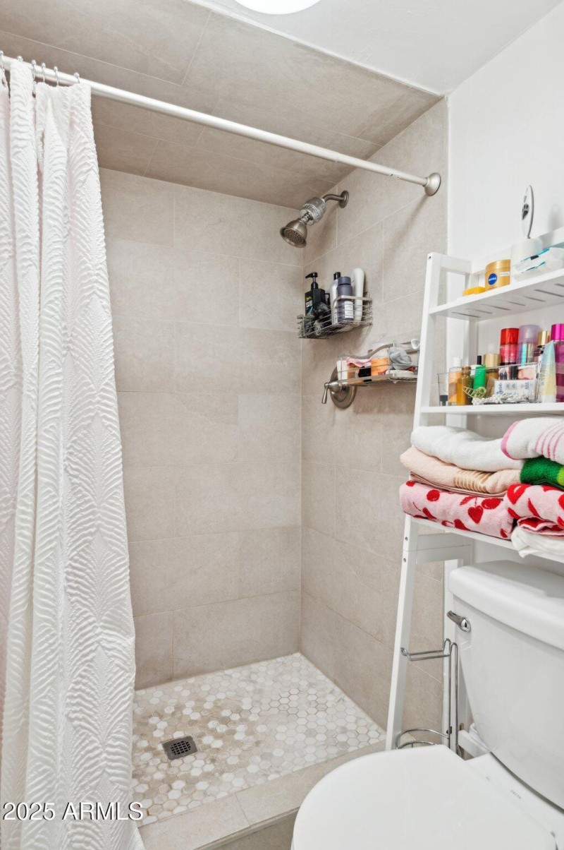 Ensuite bath 1 shower