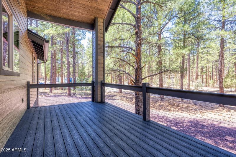 Back Deck