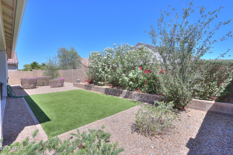 BACK YARD