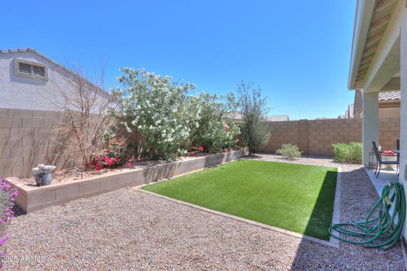 BACK YARD