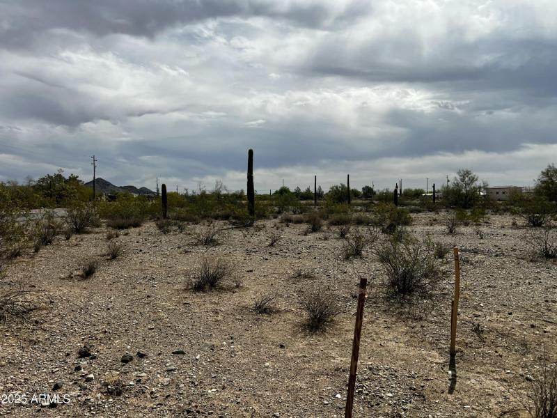 31xxx N 168th 510-04-964-A Ground Level