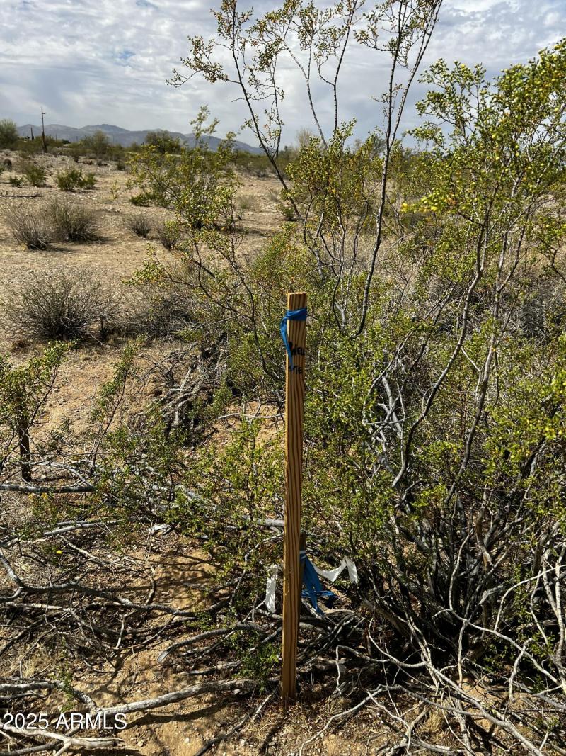 Wellhead Site view 2 510-04-964-A