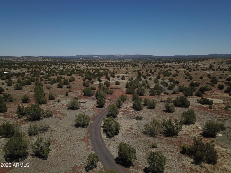 DJI_0307