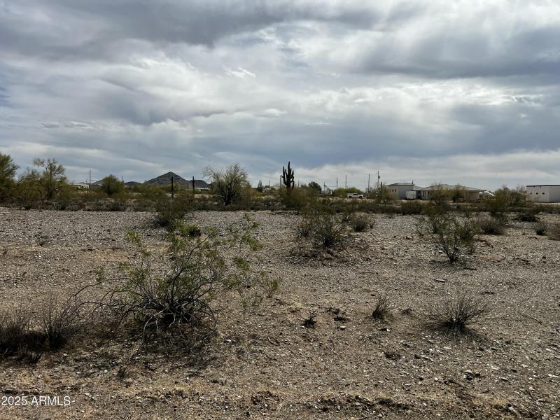 51004964B Ground View East 3