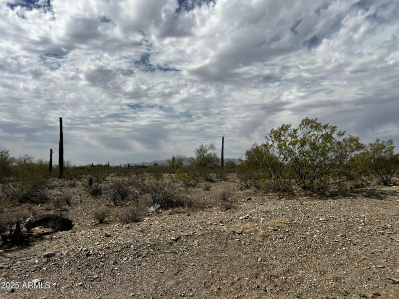 51004964B Ground View South