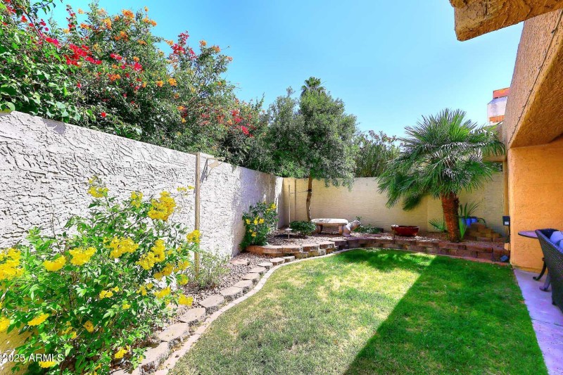Backyard3