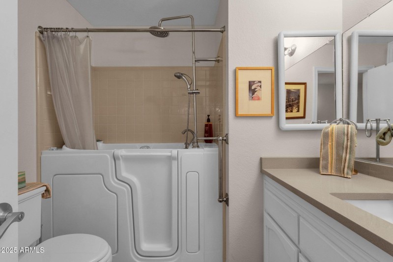 Step-In Tub Shower
