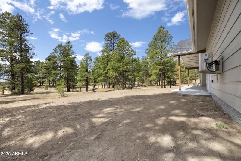 31-web-or-mls-FA9A2284