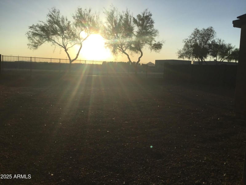 Back yard