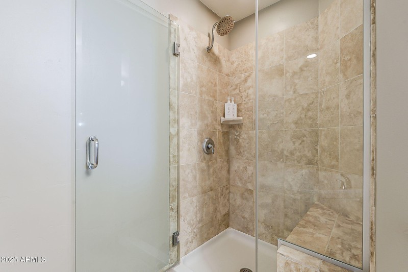 Primary Shower