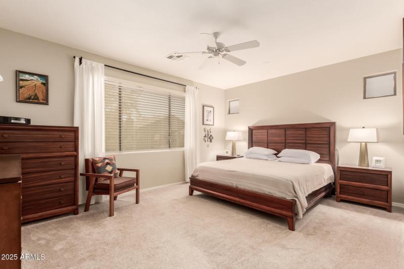 20 - Desert Honeysuckle