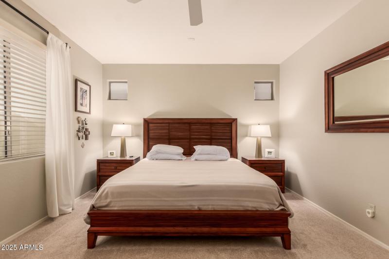 22 - Desert Honeysuckle