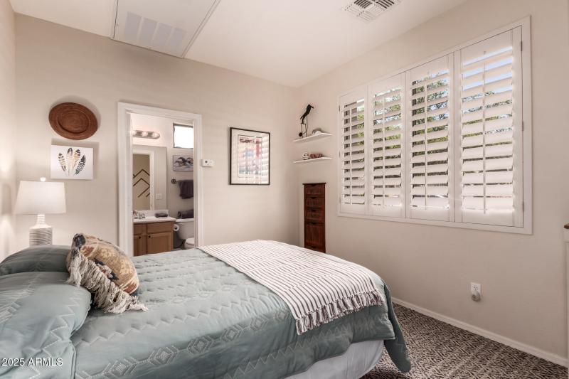 26 - Desert Honeysuckle