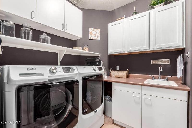 37 - Desert Honeysuckle