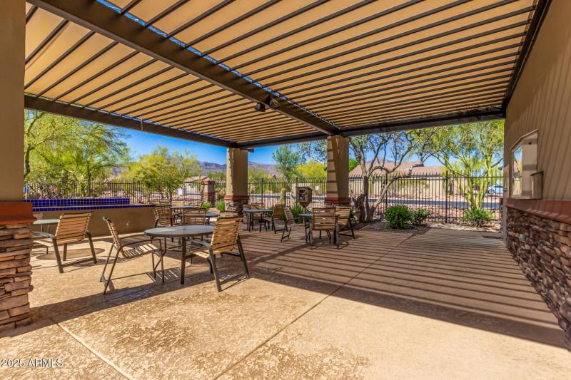 50 - Desert Honeysuckle