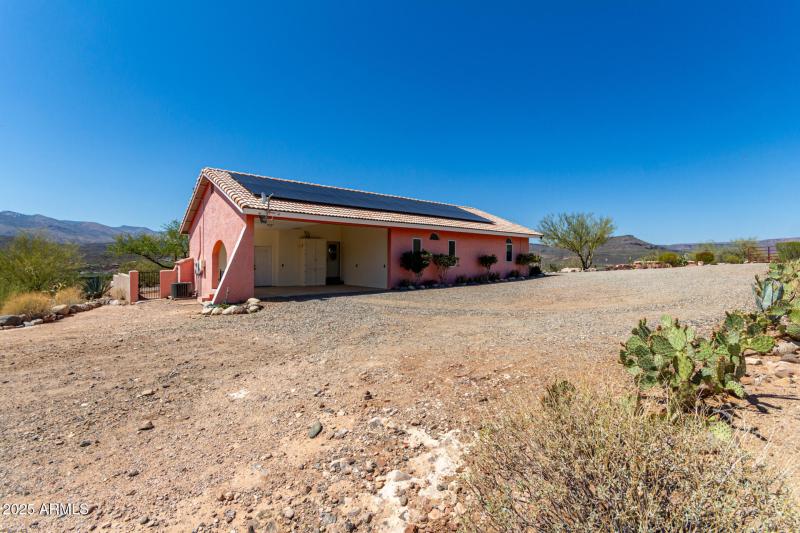 37 - Cholla