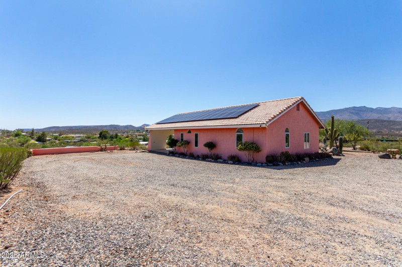 38 - Cholla