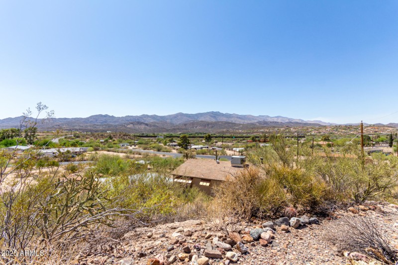 41 - Cholla