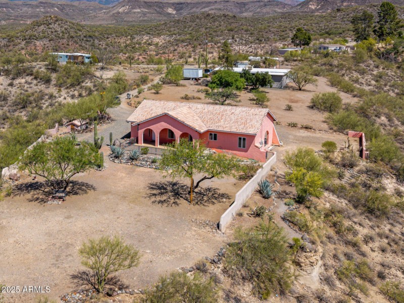 42 - Cholla