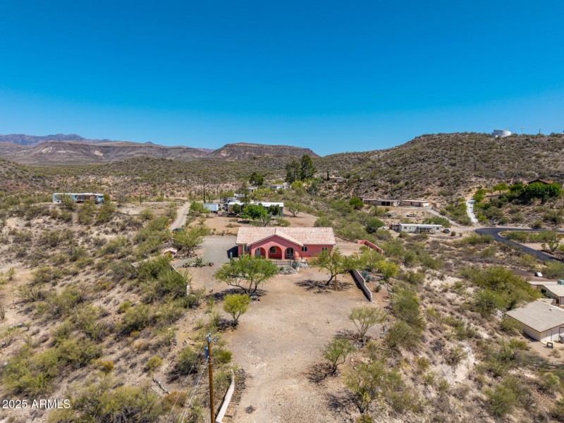 45 - Cholla