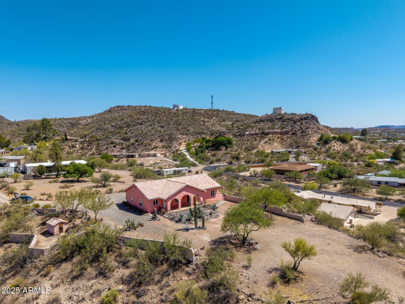 48 - Cholla