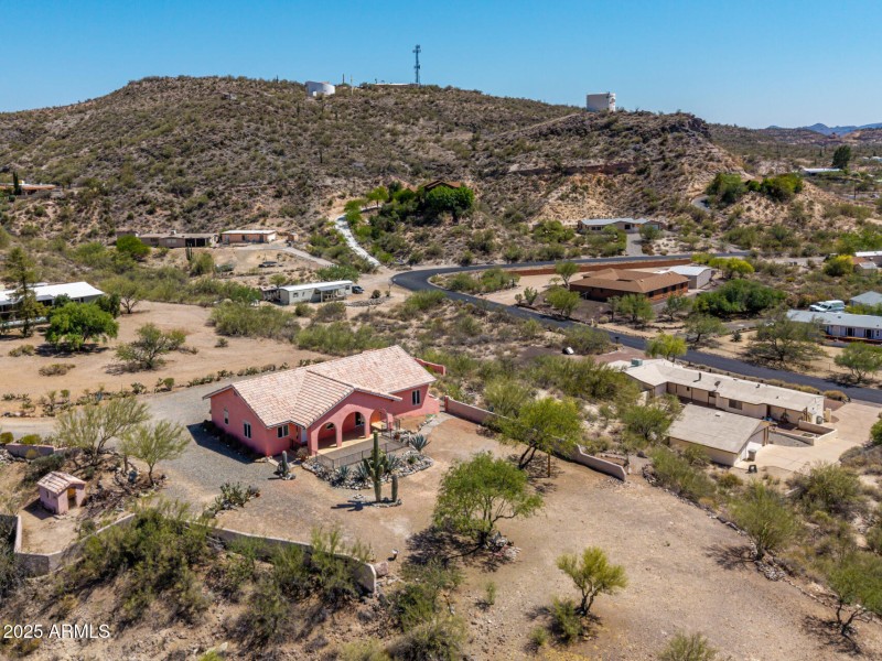 49 - Cholla