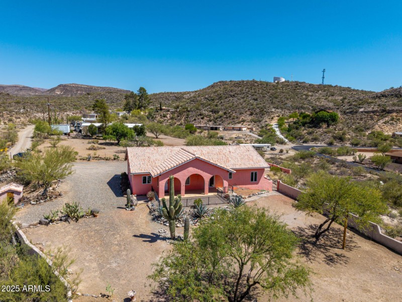 52 - Cholla