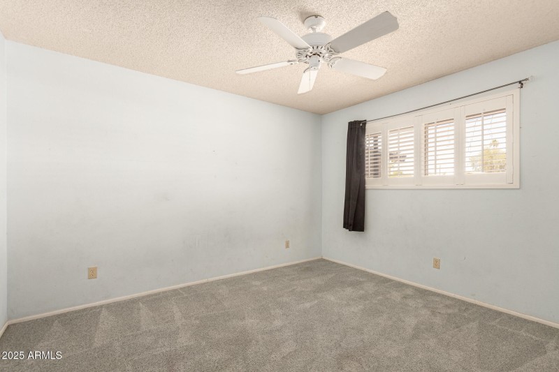 20 - Royal Palm