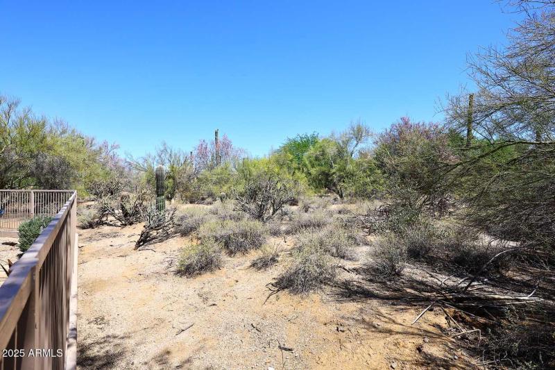Open Space behind Home