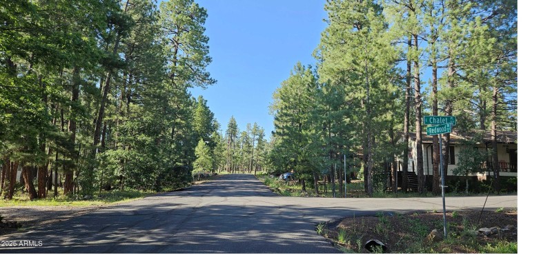 View to End of Street - National Forest