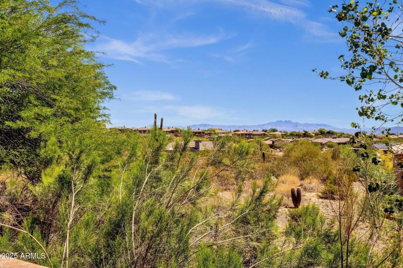 060_View Of Four Peaks Mountain