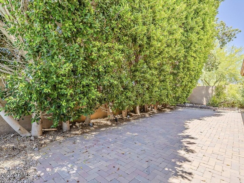 048_Backyard Area