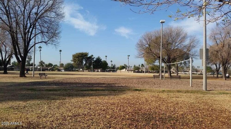 meyer fields