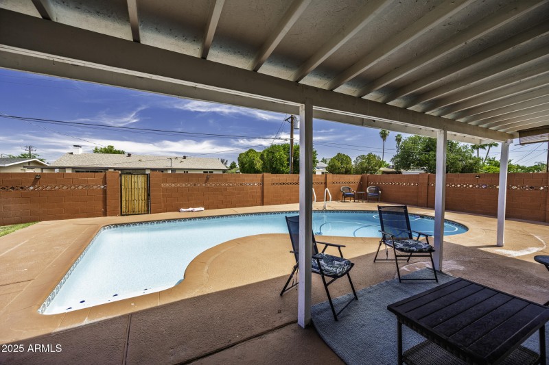 Painted backyard walls