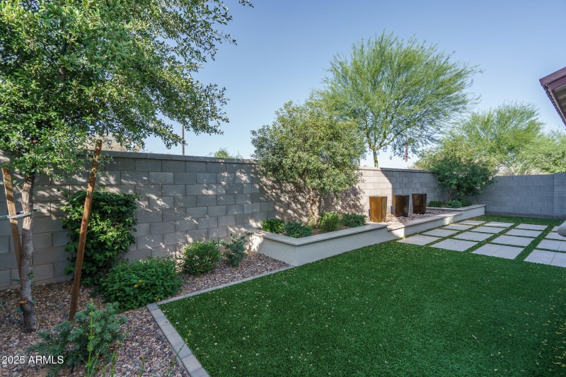 30) BACKYARD