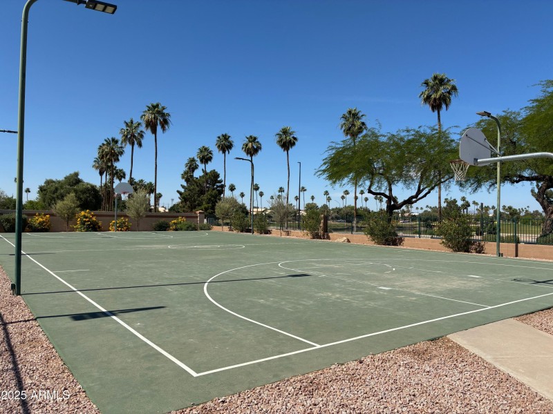 BASKETBALL COURT