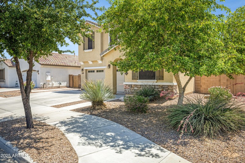 Low maintenance front yard