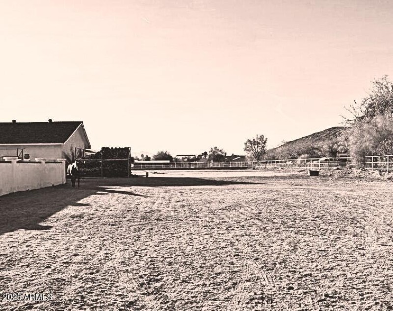 pasture
