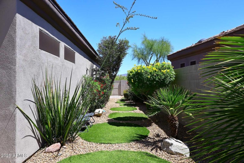 Side Yard2