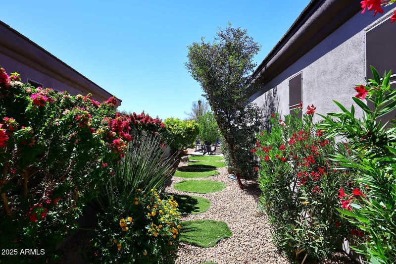 Side Yard3